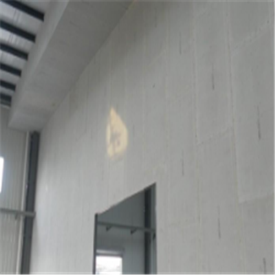 资溪宁波ALC板|EPS加气板隔墙与混凝土整浇联接的实验研讨